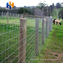 cerca de alambre galvanizado cerca de cultivo de cabra